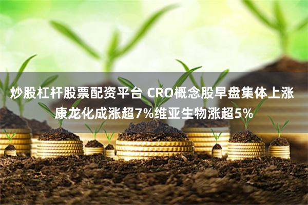 炒股杠杆股票配资平台 CRO概念股早盘集体上涨 康龙化成涨超7%维亚生物涨超5%