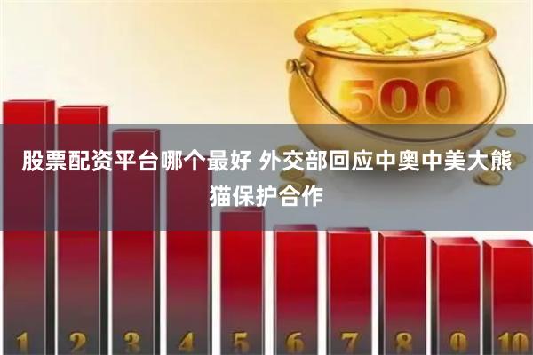 股票配资平台哪个最好 外交部回应中奥中美大熊猫保护合作