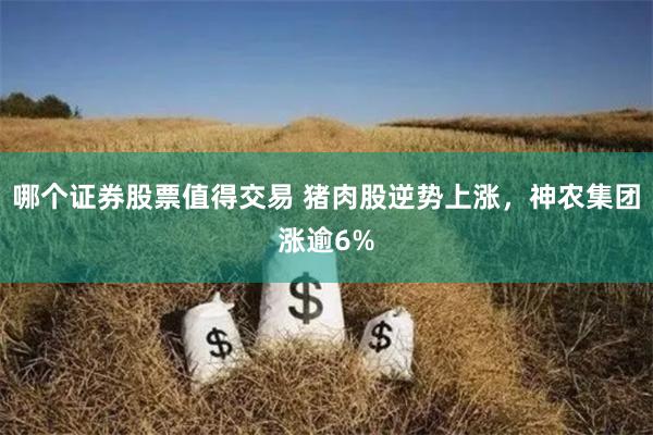 哪个证券股票值得交易 猪肉股逆势上涨，神农集团涨逾6%